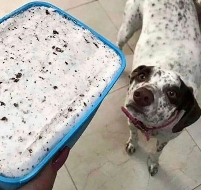 Funny-The-Snuggle-Is-Real-Pics