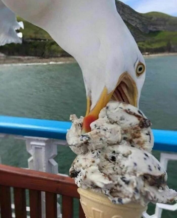 Funny-The-Snuggle-Is-Real-Pics