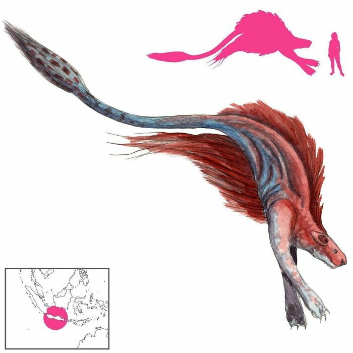 The Brethmechin Is A Sea Creature That Looks Like A Cross Between A Fish And A Panther, And Is Red With Blue Markings. One Was Found Washed Up On Java On April 14, 1551