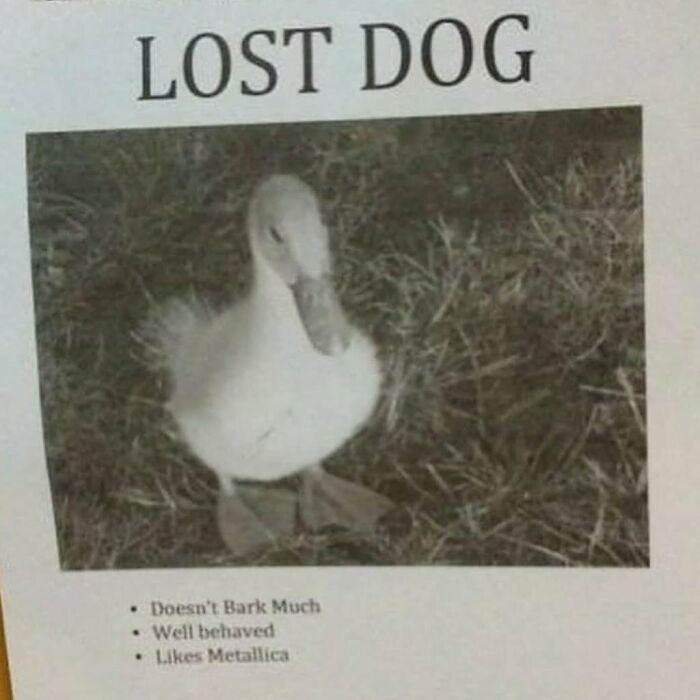 Funny-The-Snuggle-Is-Real-Pics