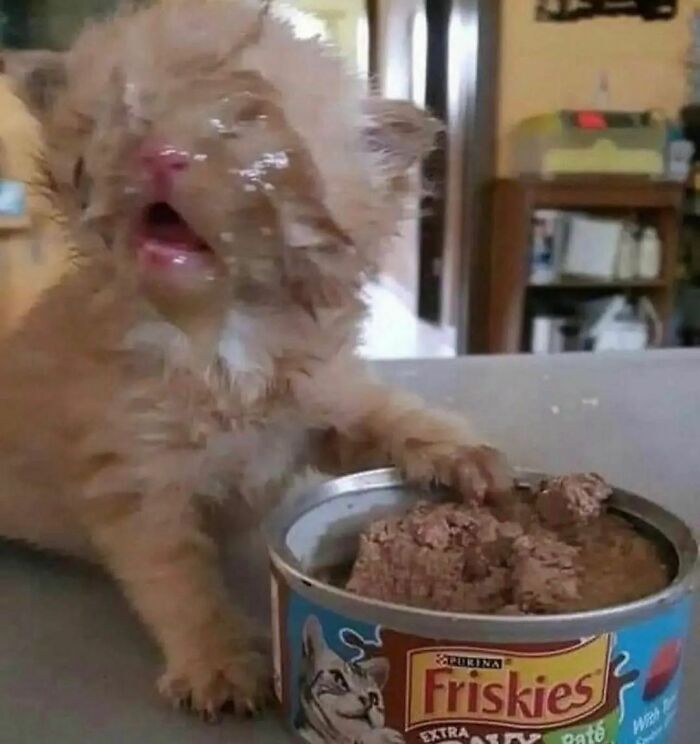 Funny-The-Snuggle-Is-Real-Pics