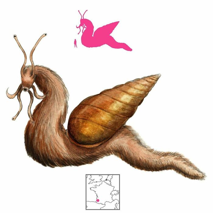 The Carcolh Is A Giant, Shaggy, Serpentine Snail That Lives In The Caves Below The French City Of Hastingues. It Grabs Its Victims With Its Tentacles And Pulls Them Into Its Maw