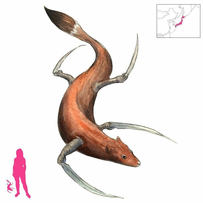 The Kamaitachi Is The Yokai Of Unexplained Cuts. Found Primarily In Chilly Honshu, It Is A Weasel With Sickle-Like Claws That Travels In Whirlwinds And Inflicts Cuts On People