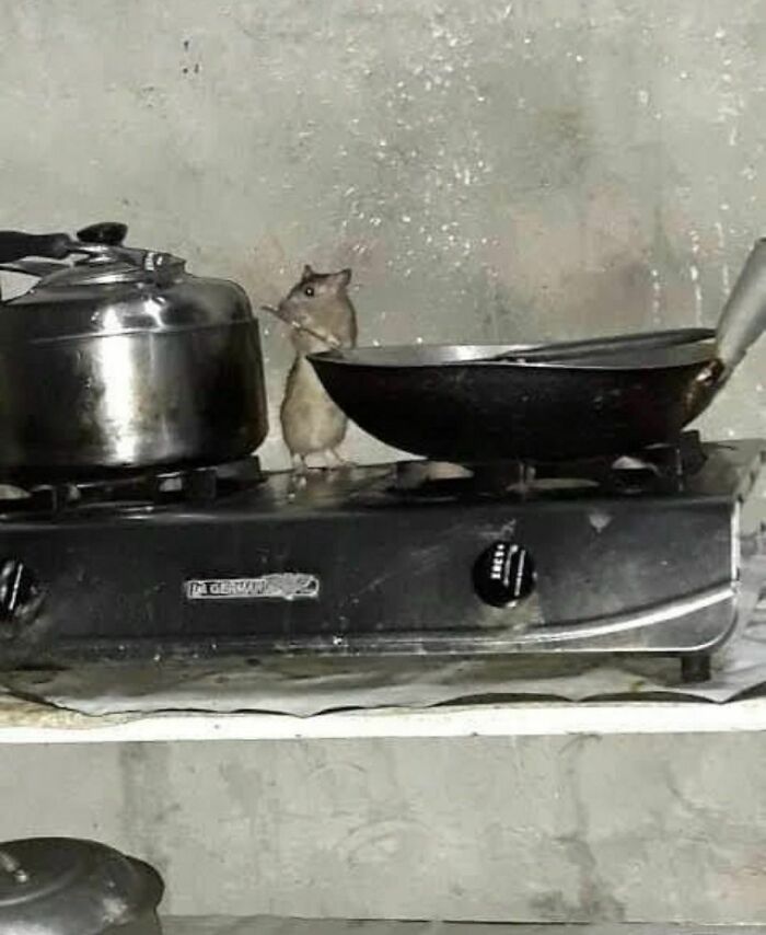 Funny-The-Snuggle-Is-Real-Pics