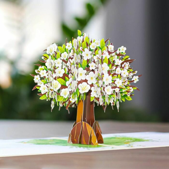 Making Every Moment Special With This Stunning White Blossom Pop Up Card