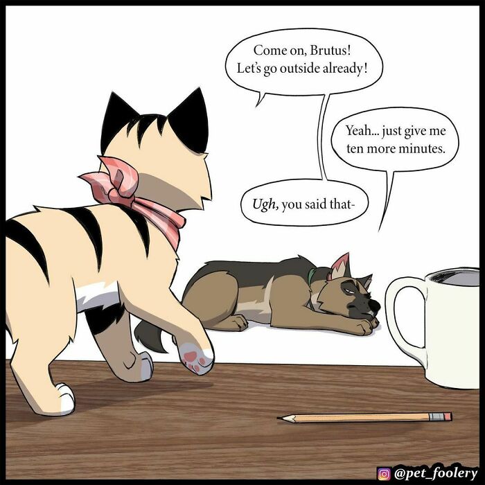 7 New Hilariously Adorable Comics From The Internet’s Most Loved Cat And Dog Duo To Instantly Make Your Day 7 New Hilariously Adorable Comics From The Internet’s Most Loved Cat And Dog Duo To Instantly Make Your Day