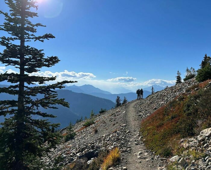 Photo of Pacific Crest Trail