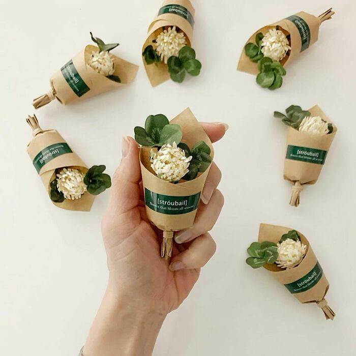 Made Of Paper, Four-Leaf Clover Bouquet