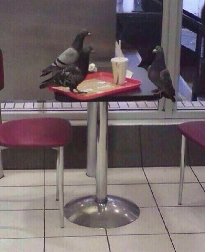 Funny-The-Snuggle-Is-Real-Pics