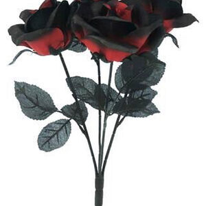 elderlygoldfish avatar