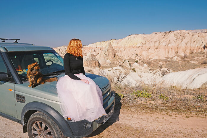 I Have Traveled To 33 Countries Together With My Maine Coon Cat, See The Highlights Of Our Journey To Turkey And Georgia I Have Traveled To 33 Countries Together With My Maine Coon Cat, See The Highlights Of Our Journey To Turkey And Georgia