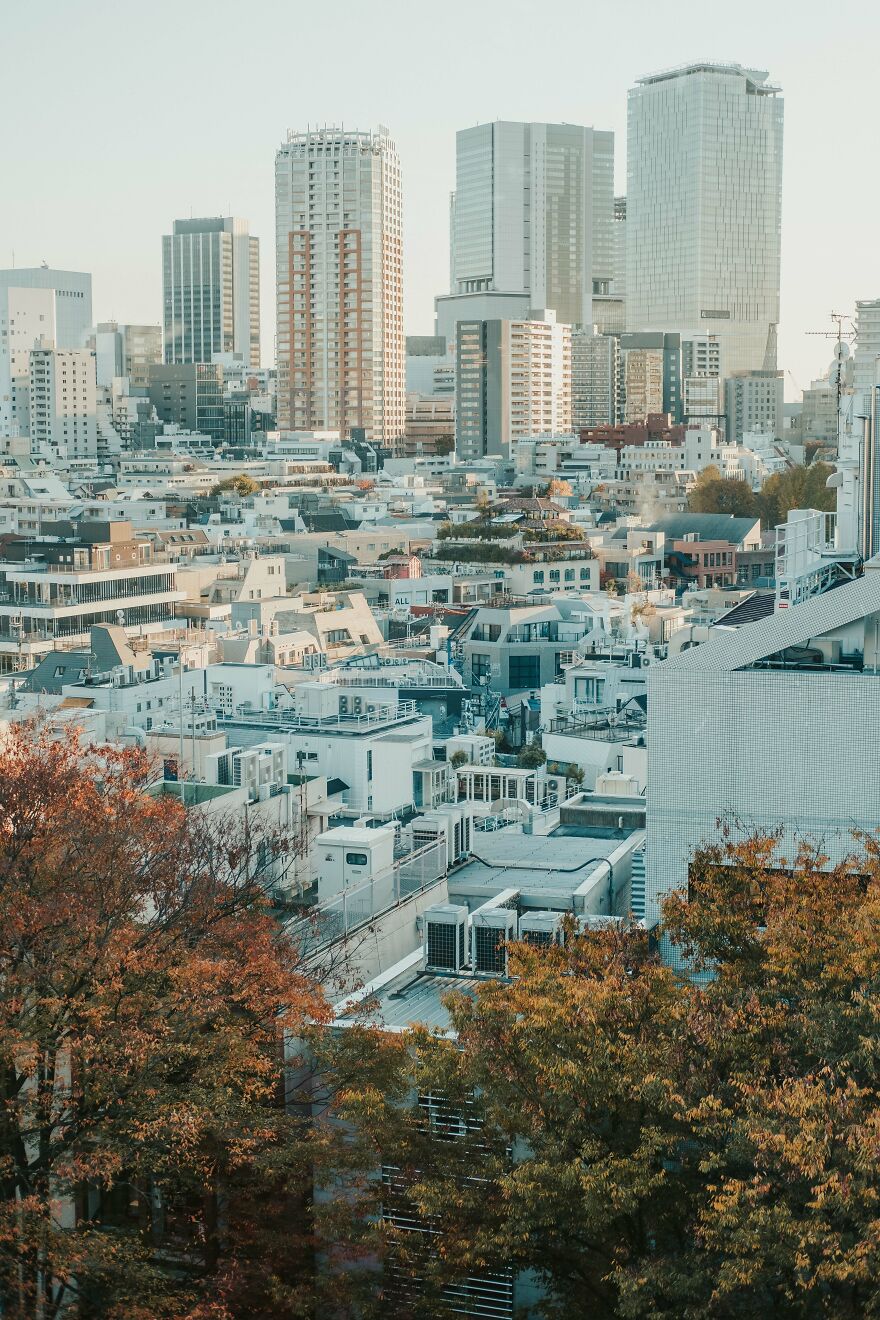 Monochrome Snapshot: Tokyo's Concrete Jungle From Omohara Garden