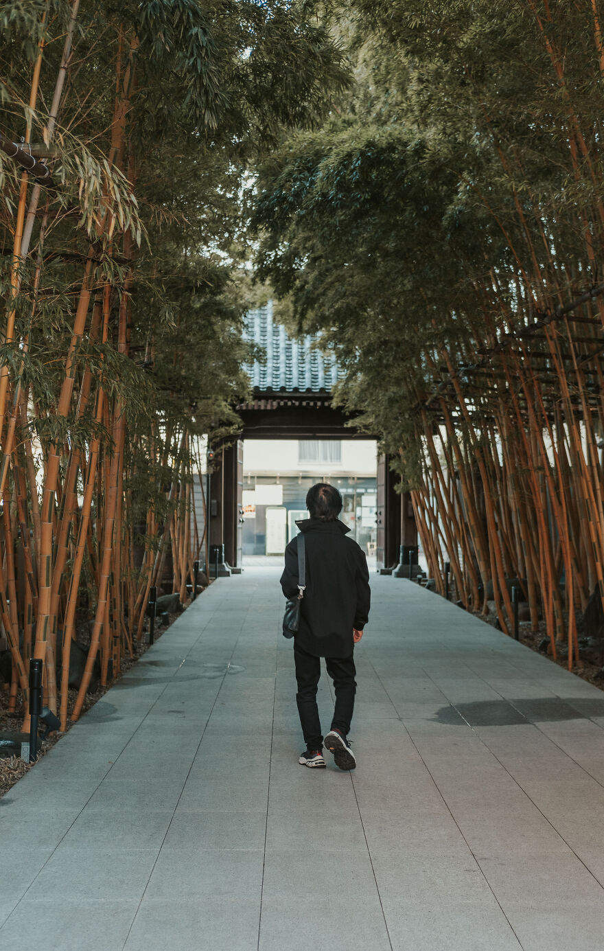 Solitude's Sanctuary: A Pensive Commute Through Bamboo Pathways To A Sacred Temple