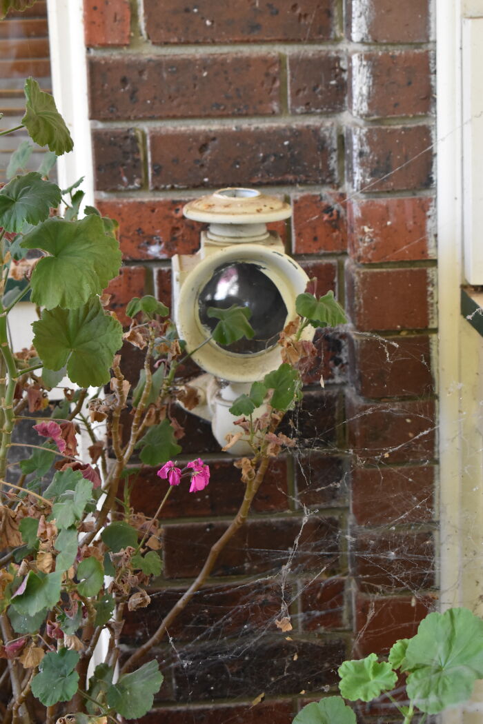 Coach Lamp That Was Built And Wired Into A Front Wall. (Ignore The Spider Webs, This Was Taken When My Family Were In The Midst Of Moving Out)