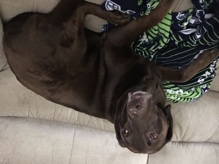 My Friend Painted This Not Me Lol