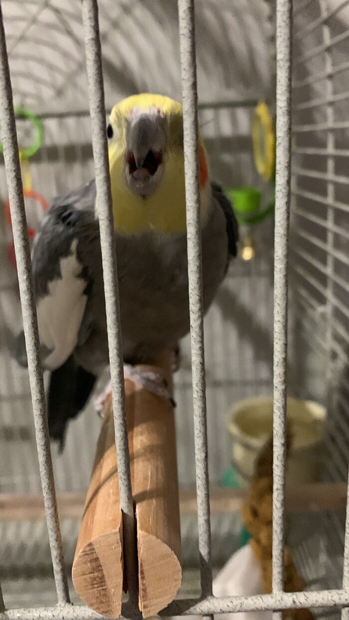 Polly Is Mad That I Want To A Slumber Party