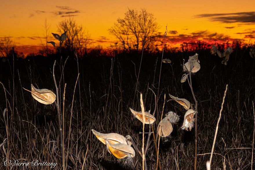 Nature Photography Nature Photography