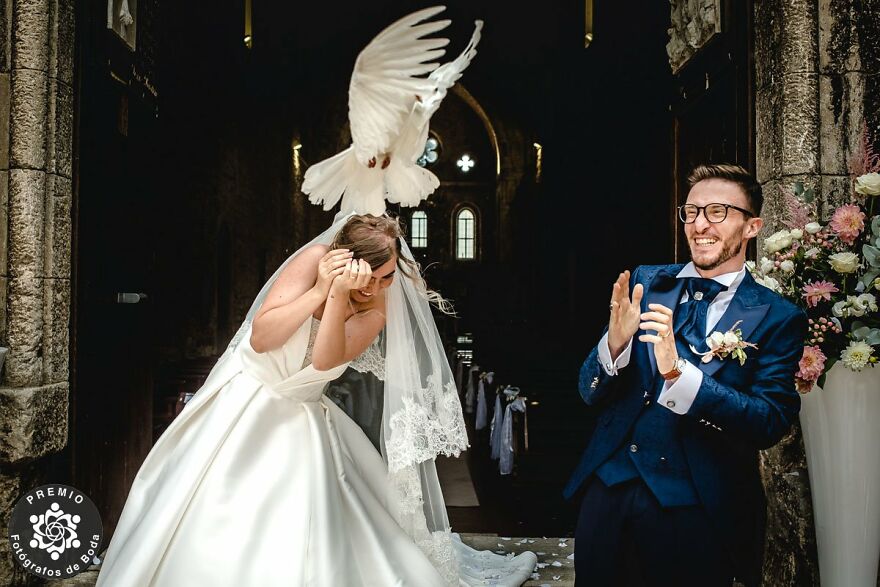 "Who Invited This Pigeon To The Wedding?" Photo By Sara Saganga