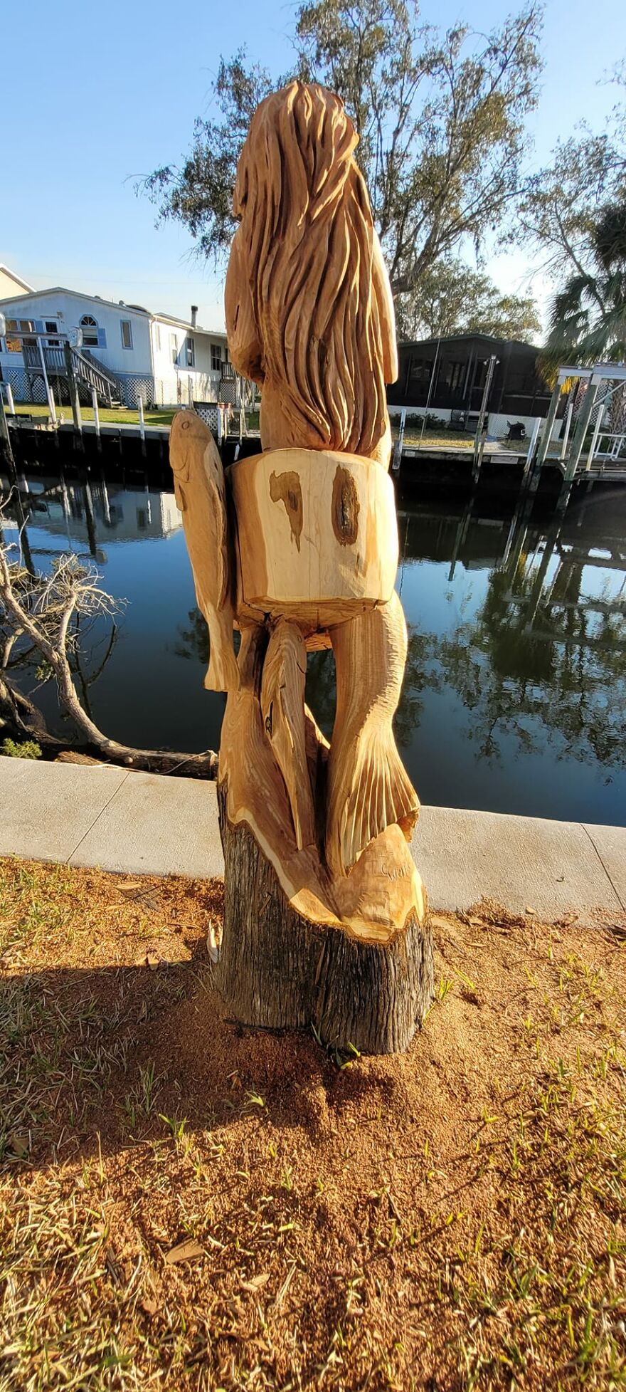 From Cedar Tree To Mermaid