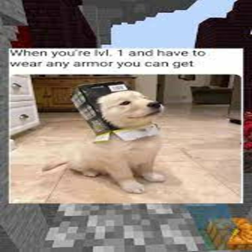 Funny And Wholesome Pet Memes