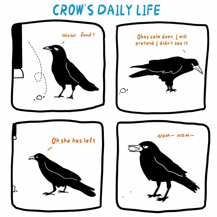 Life Of Crow
