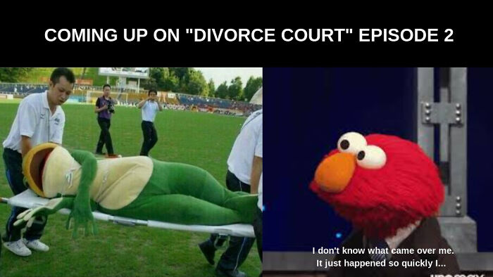 Kermit Has Been Attacked By Someone. Perhaps His Ex Wife?!