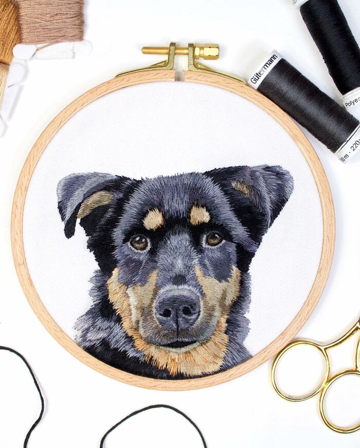 I Made Realistic Embroidered Pet Portraits