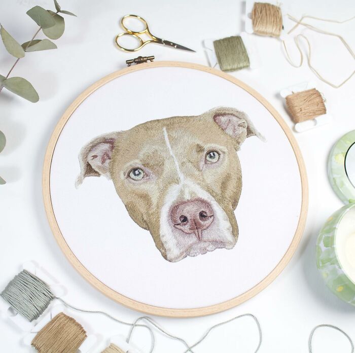 I Made Realistic Embroidered Pet Portraits