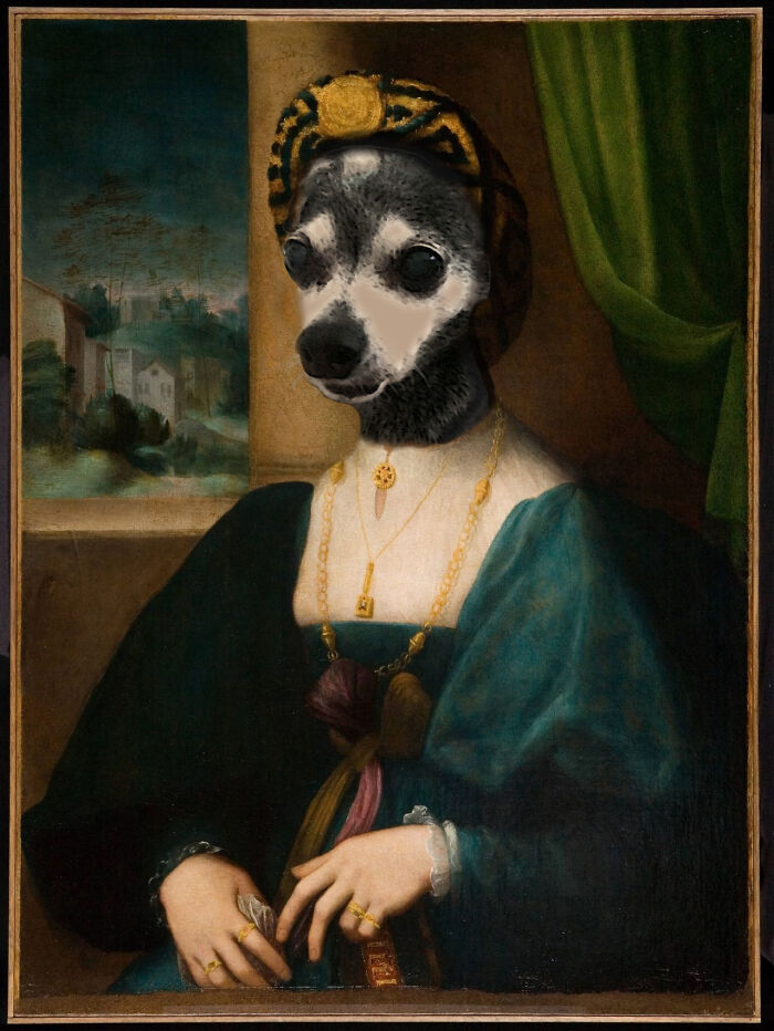 We Won't Hold The Fact That She's A Dog Against Her. She's A Lady