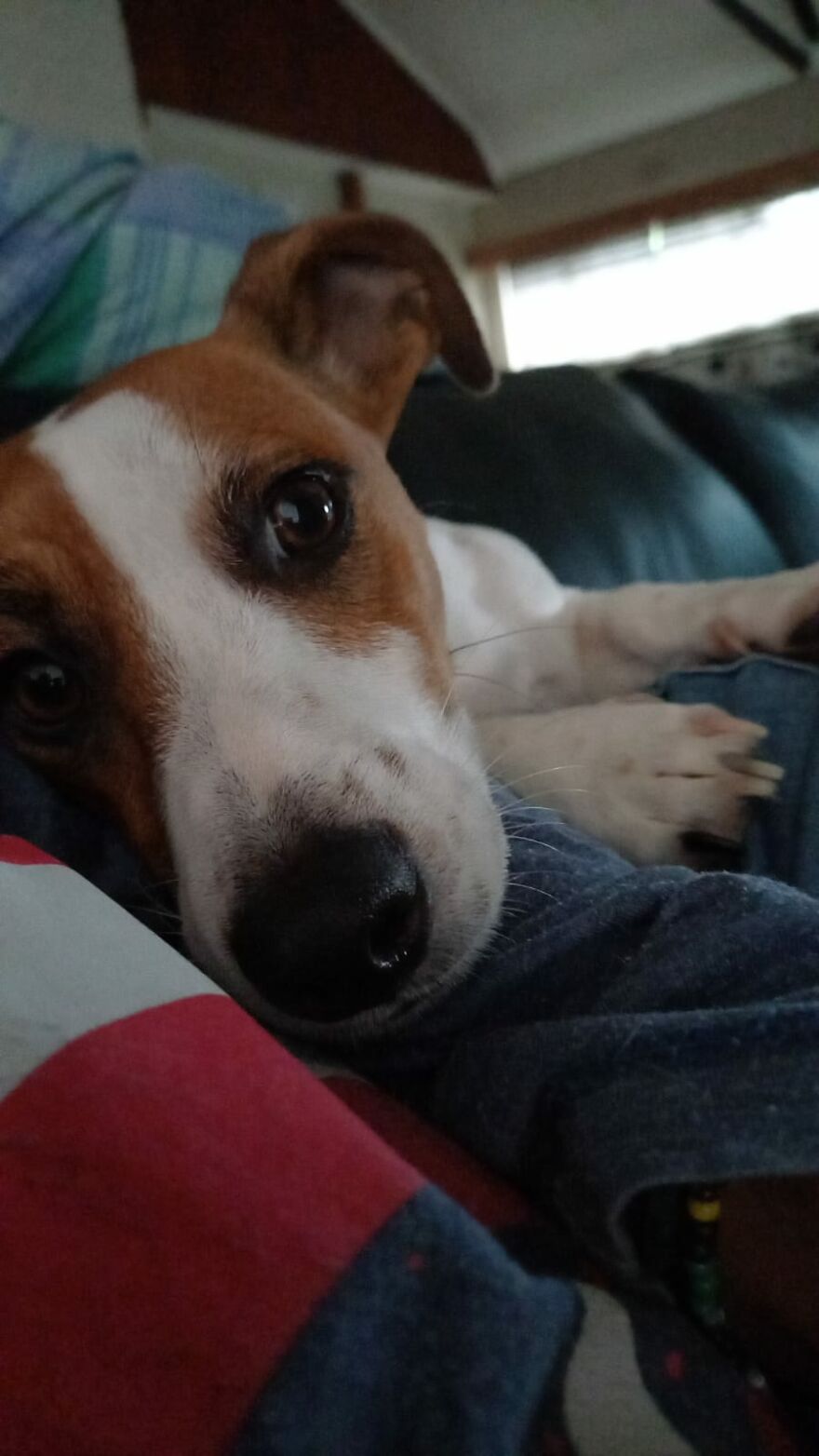 Want To Share My Maverick