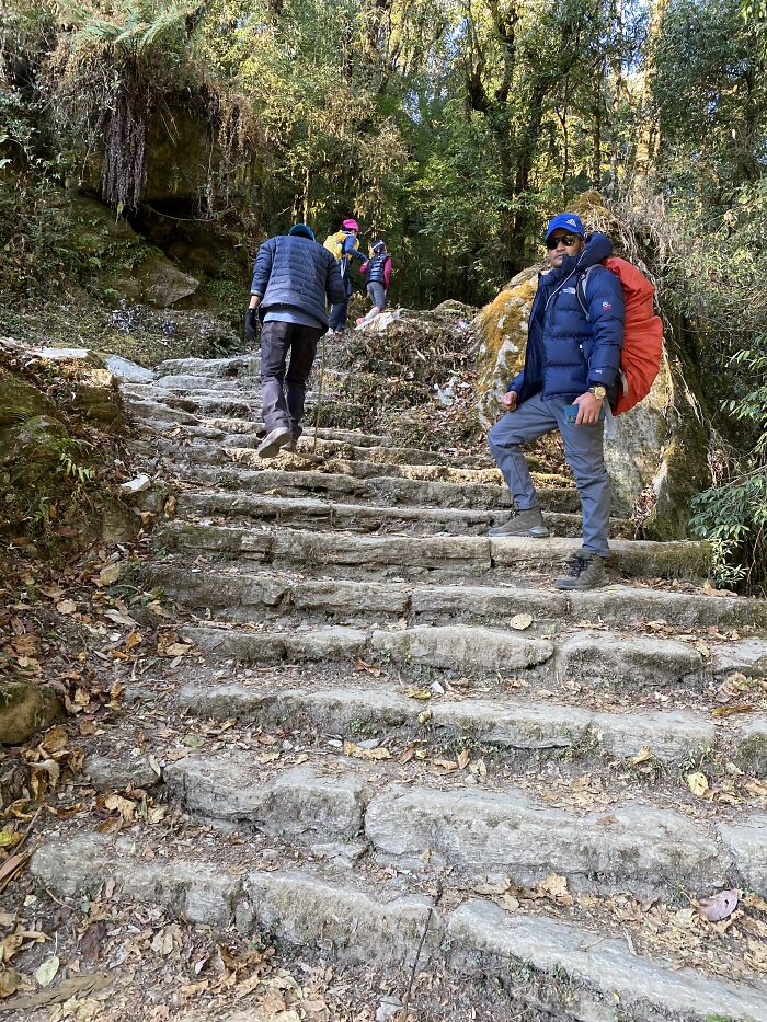 I Spent My Week Hiking The Ghorepani Poon Hill Route In Nepal With A Dog
