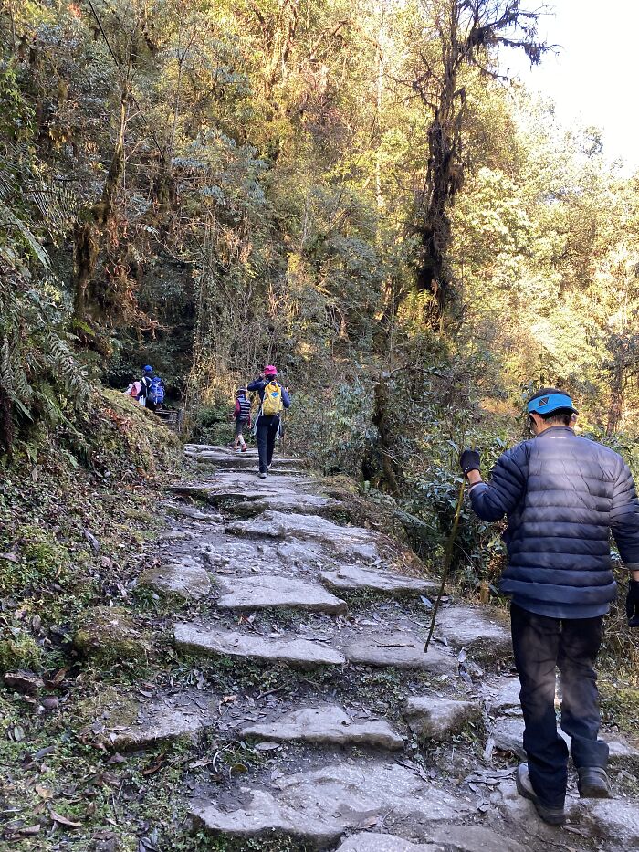 I Spent My Week Hiking The Ghorepani Poon Hill Route In Nepal With A Dog