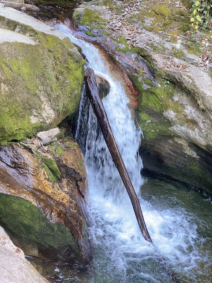 I Spent My Week Hiking The Ghorepani Poon Hill Route In Nepal With A Dog