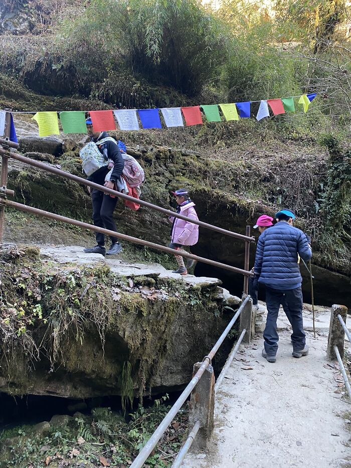 I Spent My Week Hiking The Ghorepani Poon Hill Route In Nepal With A Dog