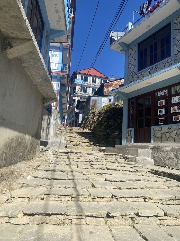 I Spent My Week Hiking The Ghorepani Poon Hill Route In Nepal With A Dog