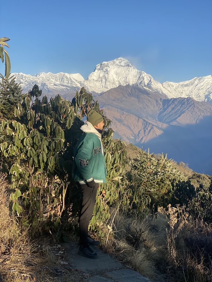 I Spent My Week Hiking The Ghorepani Poon Hill Route In Nepal With A Dog