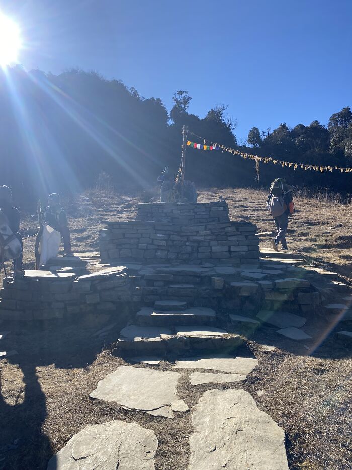 I Spent My Week Hiking The Ghorepani Poon Hill Route In Nepal With A Dog