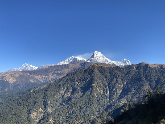 I Spent My Week Hiking The Ghorepani Poon Hill Route In Nepal With A Dog