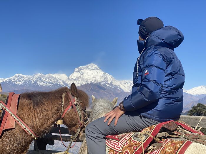 I Spent My Week Hiking The Ghorepani Poon Hill Route In Nepal With A Dog