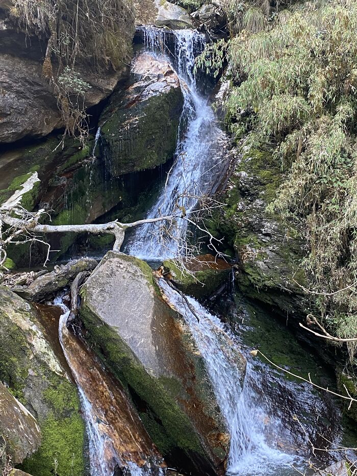I Spent My Week Hiking The Ghorepani Poon Hill Route In Nepal With A Dog