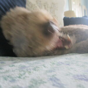 morganmadeline21310 avatar