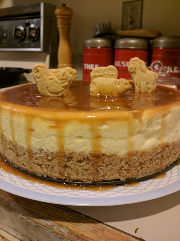Caramel Cheesecake For My Daughter Who Loves Animals