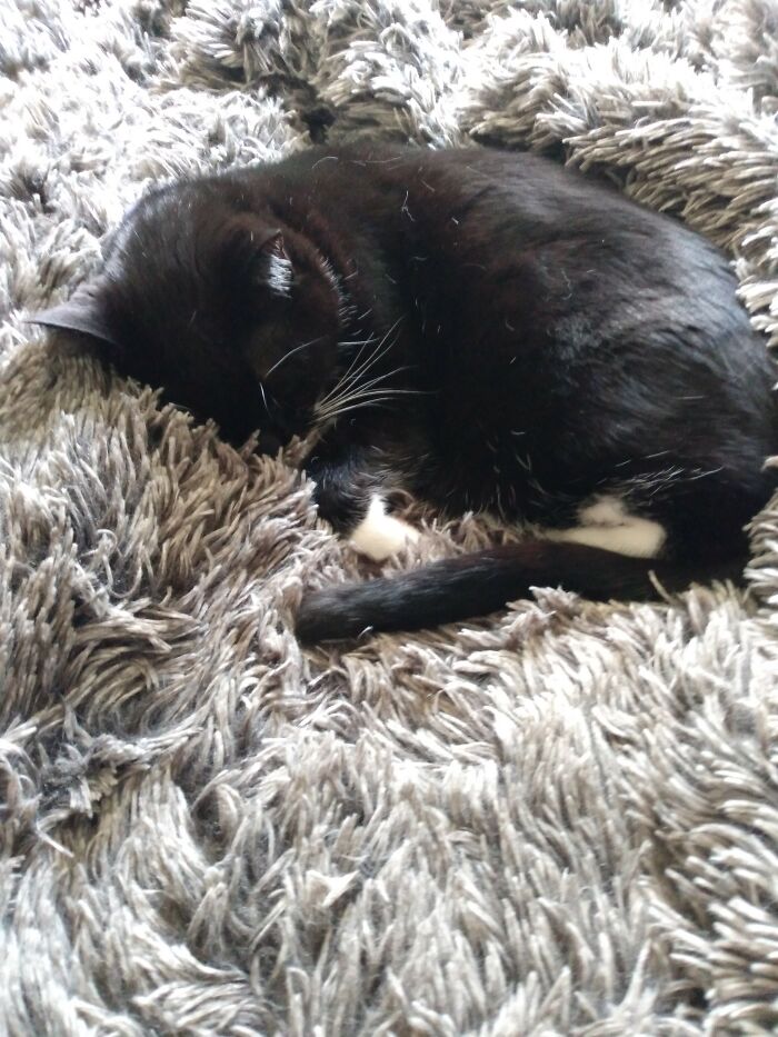 I Saw It So Pineapple ❤️