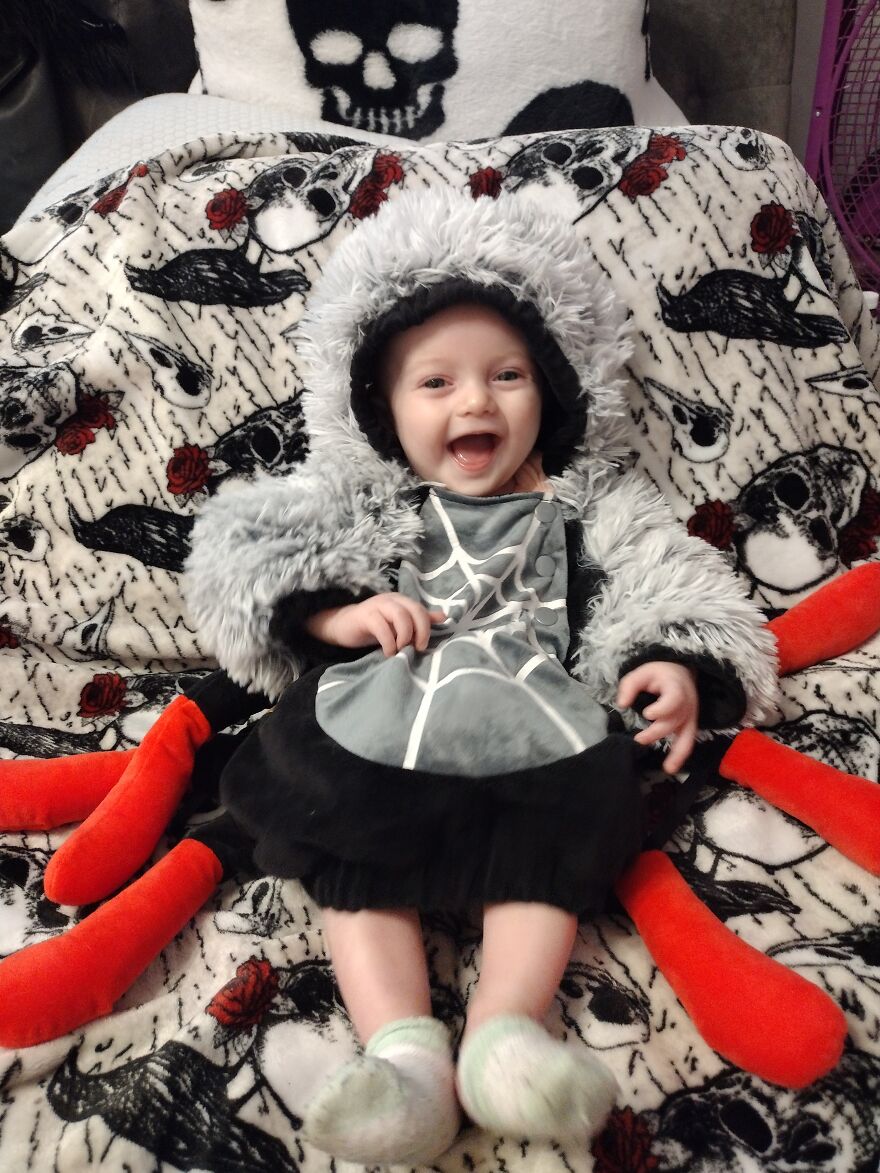 The Itsy Bitsy Spider