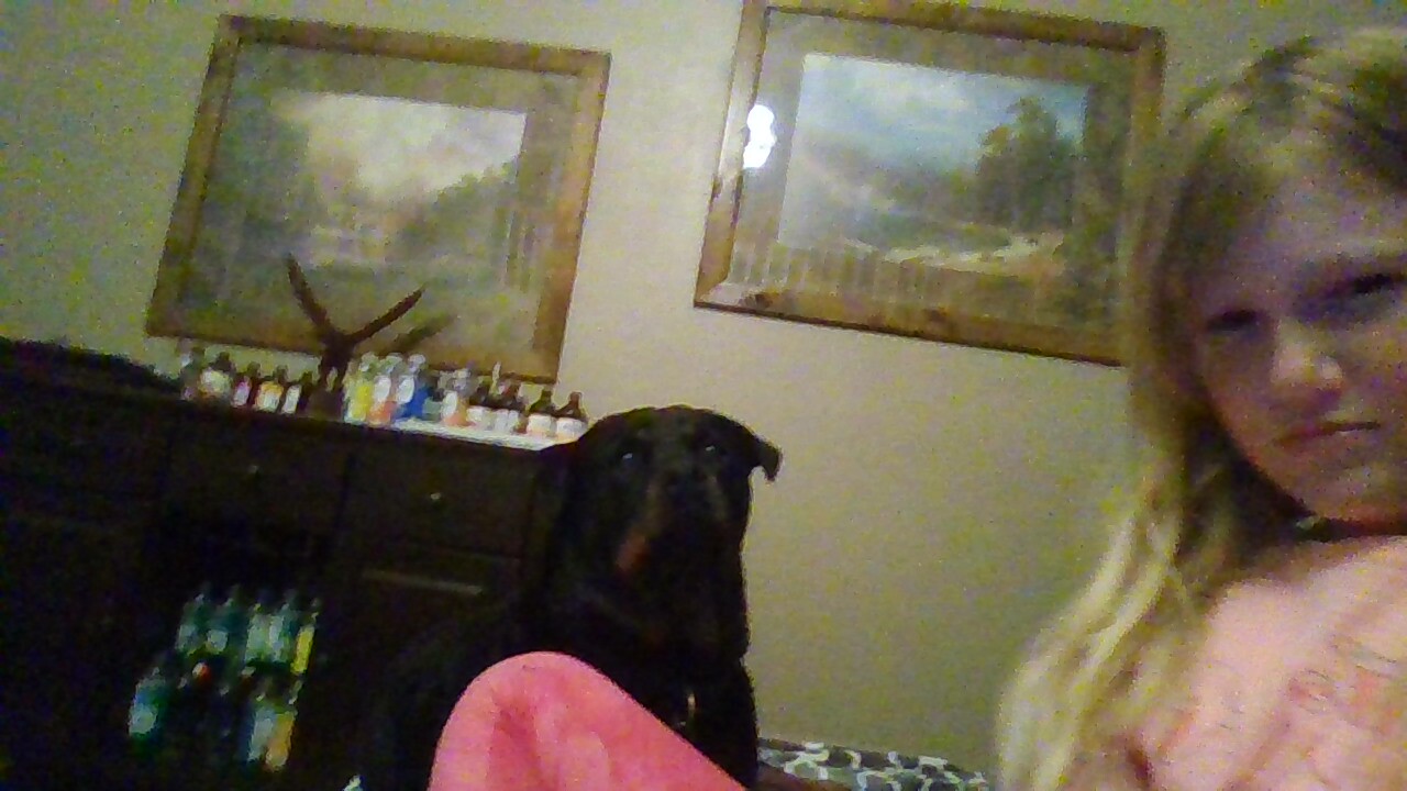 Hey Pandas,are Rottweilers Dangerous?