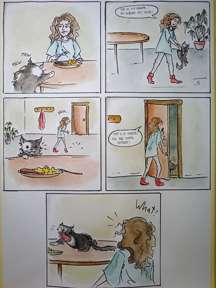 This Weird Cat Teleportation Thing