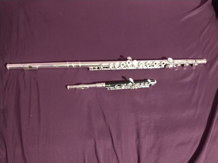 Flute And Piccolo! They're My Babies