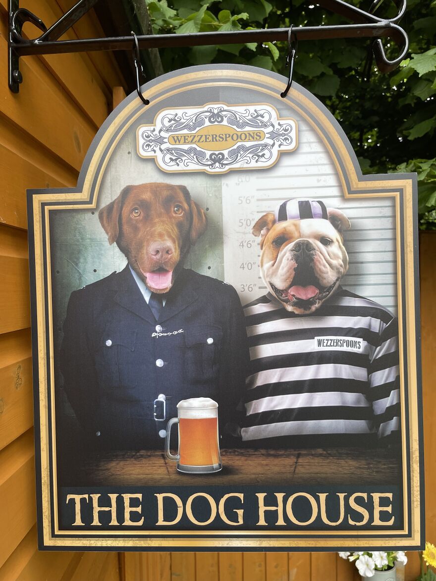 Dog House - Dogs In Prison