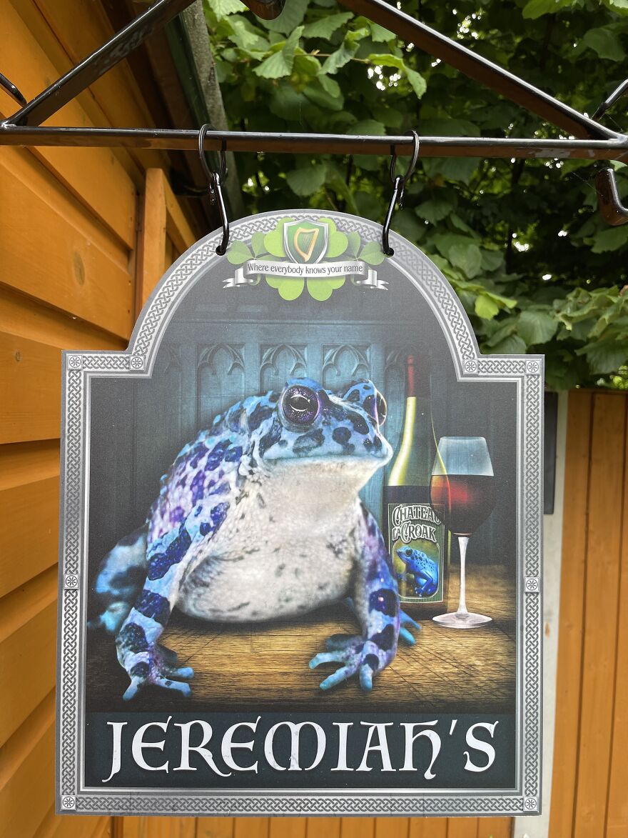 A Blue Frog Bar Sign Complete With Chateau Crook Wine