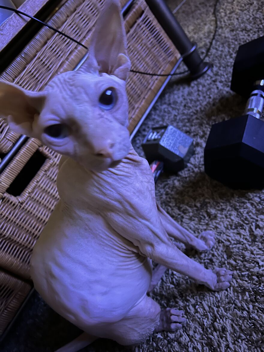 Little Man, No Filter